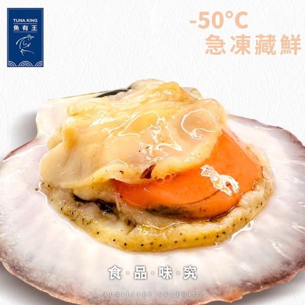 魚有王-日本北海道扇貝