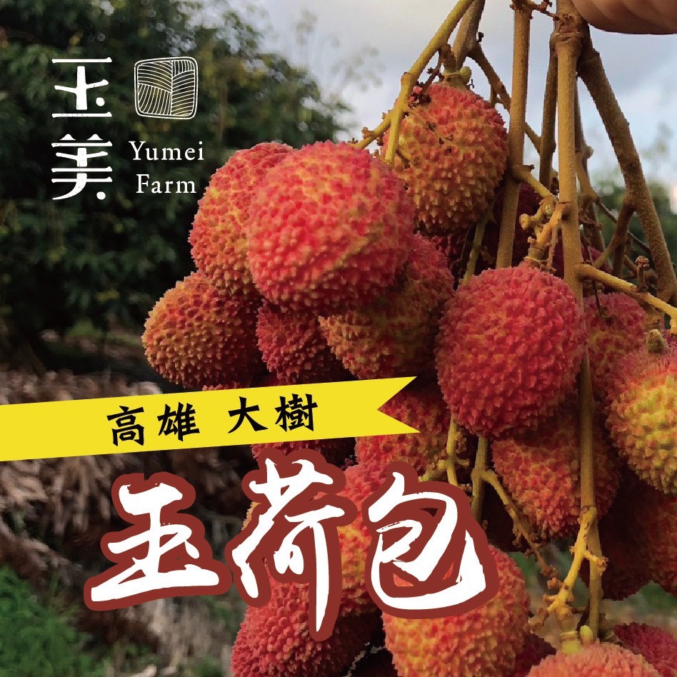 大樹玉荷包