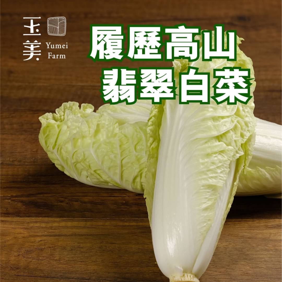 履歷高山翡翠白菜