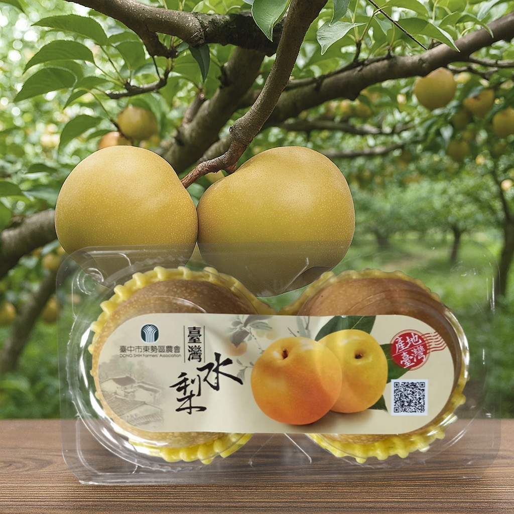 光波高接梨