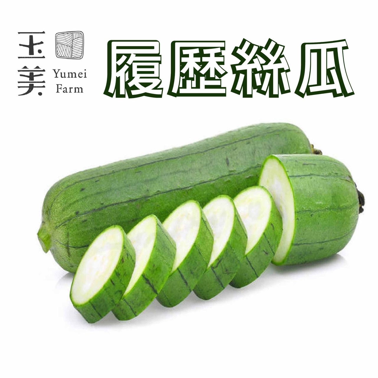履歷絲瓜