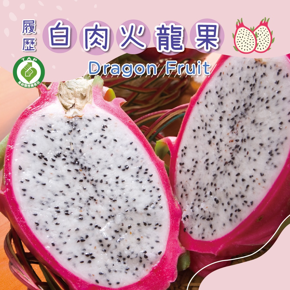 履歷白肉火龍果2入